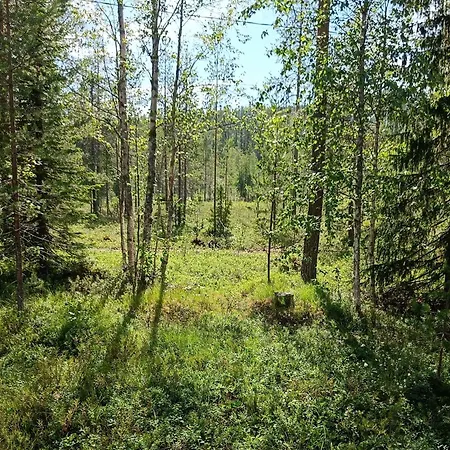 Alppivilla Feriehus *