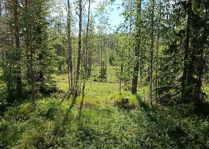 Alppivilla بيت للعطل *